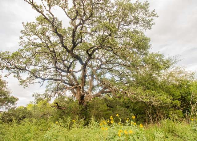 Property at 862 Dowdy Rd, Seguin, TX 78155