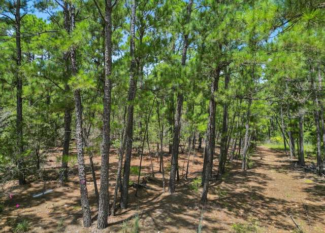 Property at Lot 56 Akala Ln, Bastrop, TX 78602