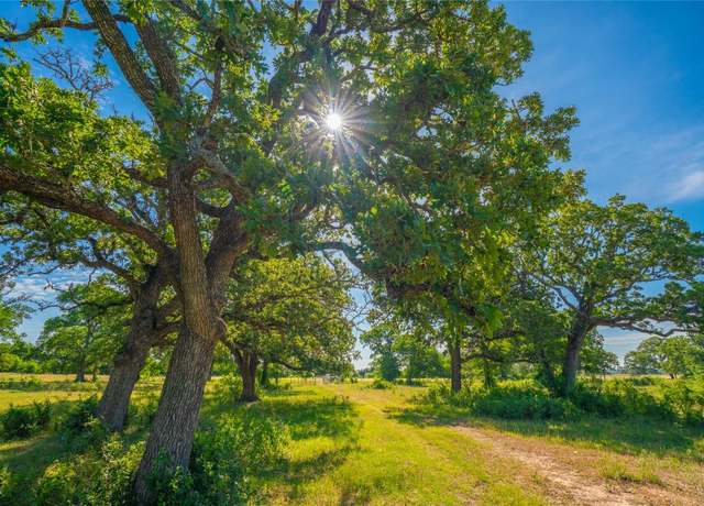 Property at (Tract 1) 1050 Fm 2104, Smithville, TX 78957