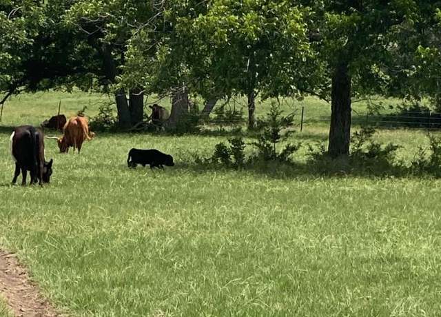Property at 2029 County Road 200, Burnet, TX 78611