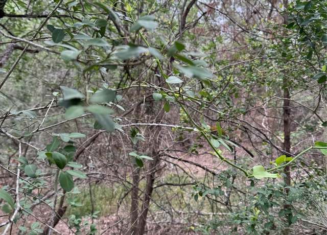 Property at Lot 1034 Kawainui Dr, Bastrop, TX 78602