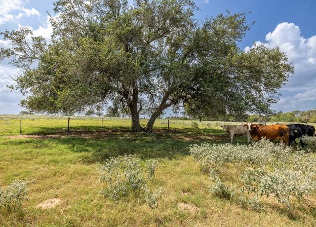 Property at 4725 Fm 532 E, Gonzales, TX 78629