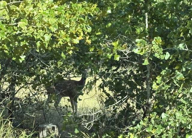 Property at TBD Kimo Ct, Bastrop, TX 78602