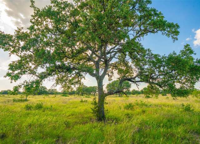 Property at 0000 Long View Rnch, Johnson City, TX 78636