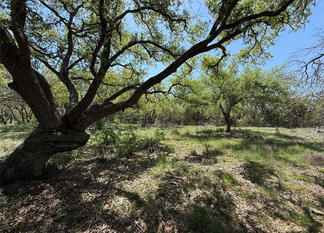 Property at Lot 106 E Flying Owl Dr, Johnson City, TX 78636