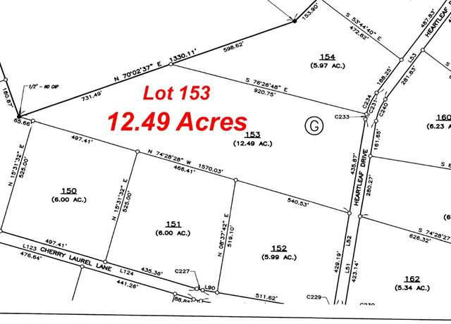 Property at 153 Heartleaf Dr, Lampasas, TX 76550