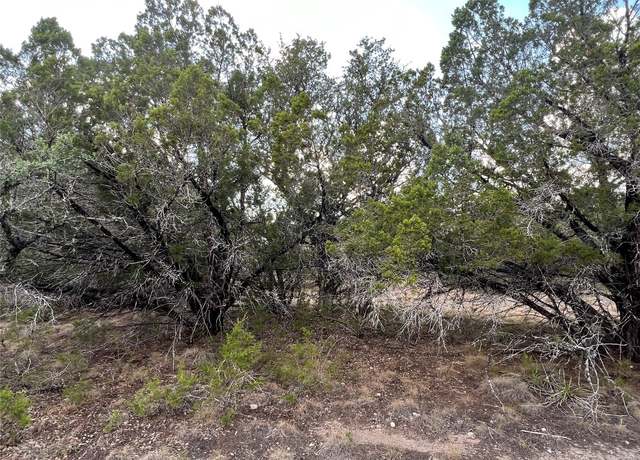 Property at 21303 Santa Rosa Ave, Lago Vista, TX 78645