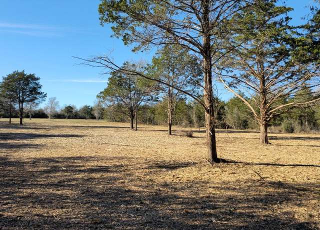Property at 1790 Jeddo Rd Lot 6, Rosanky, TX 78953