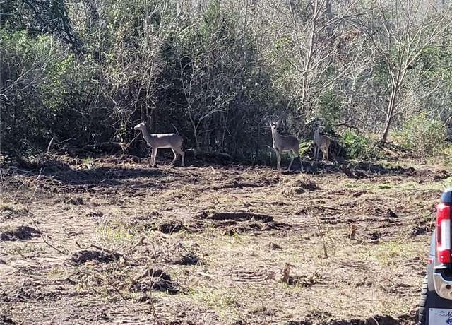 Property at 8530 Fm 153, La Grange, TX 78945