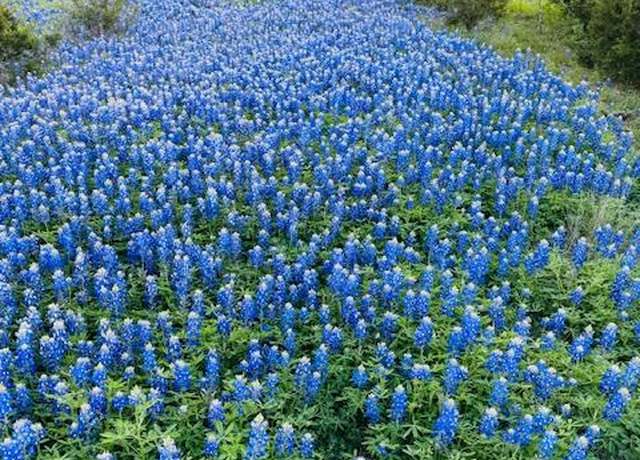 Property at Lot 13 & 14 Twisted Oak, Horseshoe Bay, TX 78654