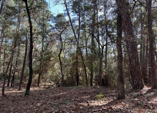 Property at TBD Kamakoa Ln, Bastrop, TX 78602