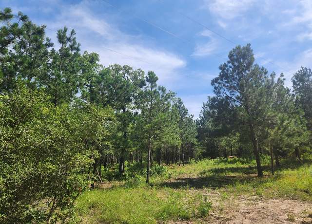 Property at 124 Paintbrush Ln, Bastrop, TX 78602