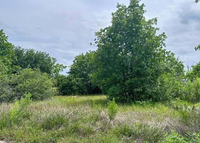 Property at 138 Wild Bird Loop, Smithville, TX 78957