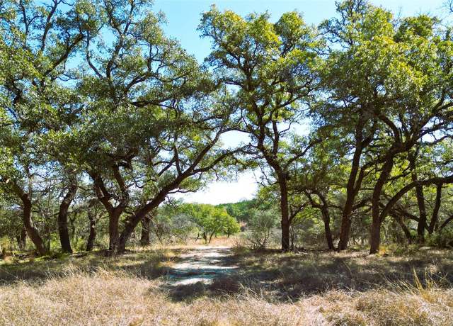 Property at 1090 Wilson Ranch Rd, Round Mountain, TX 78663
