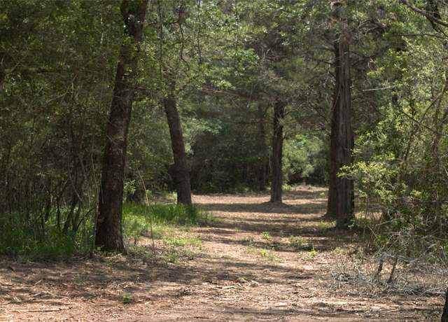 Property at 1690 County Road 413 N Unit TRACT 1, Lexington, TX 78947