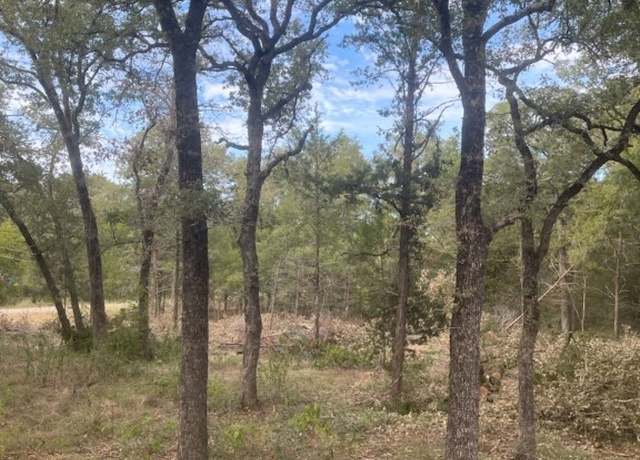 Property at 173 Shawnee Dr, Smithville, TX 78957