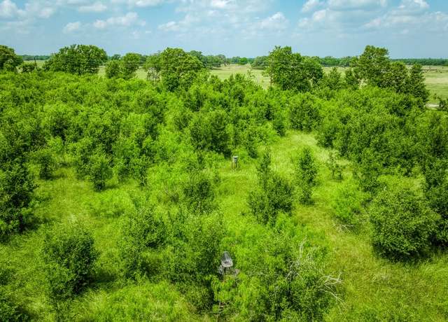 Property at 10396 County Road 276 Land, Somerville, TX 77879