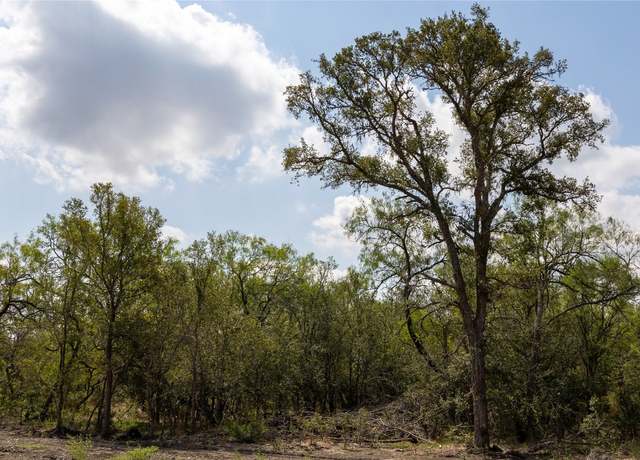 Property at 199 Brinley Mae Way, Lockhart, TX 78644