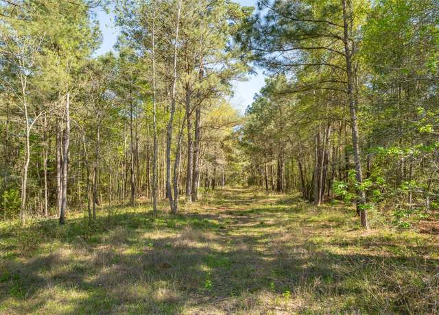 Property at 000 Bighorn Rd, Huntsville, TX 77340