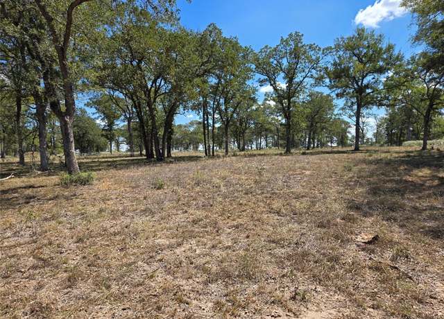 Property at 0 Sh 304 Hwy, Bastrop, TX 78602
