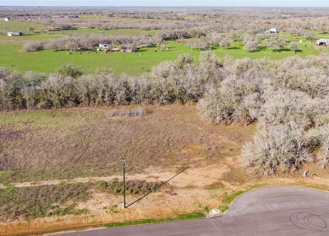 Property at 175 Azalea Ct, Dale, TX 78616