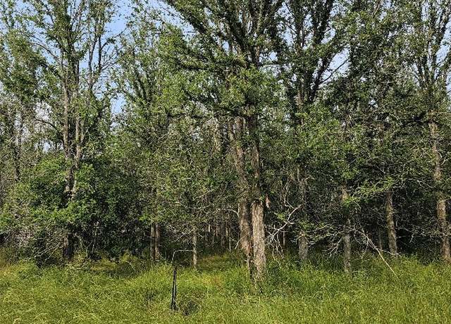 Property at 288 Kahana Ln, Bastrop, TX 78602