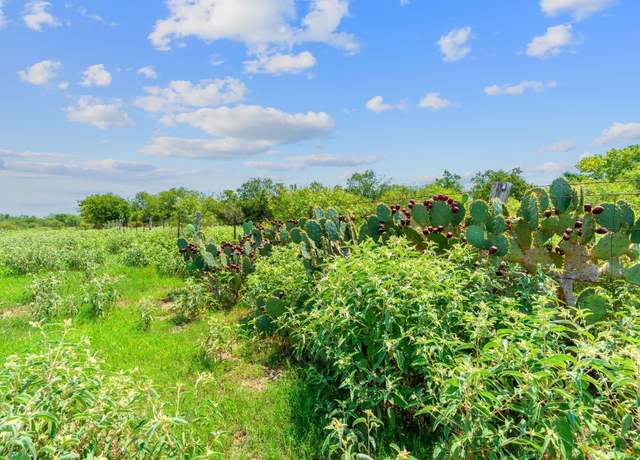 Property at Lot 2 Cr 280, Harwood, TX 78629