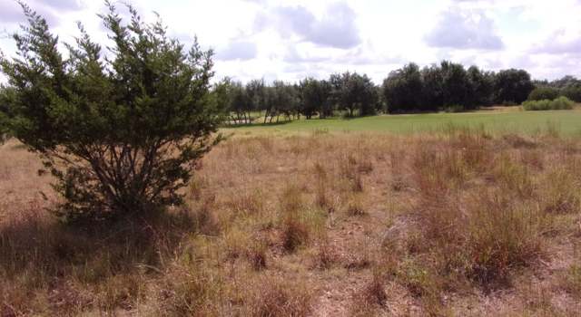 Photo of 216 N Calvin Barrett Dr, Blanco, TX 78606