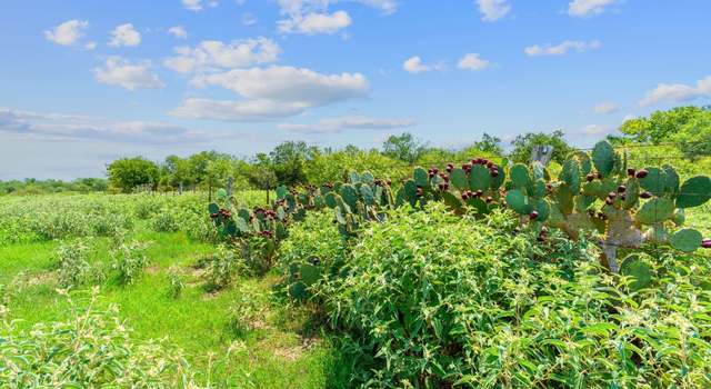 Photo of Lot 10 Cr 280, Harwood, TX 78629
