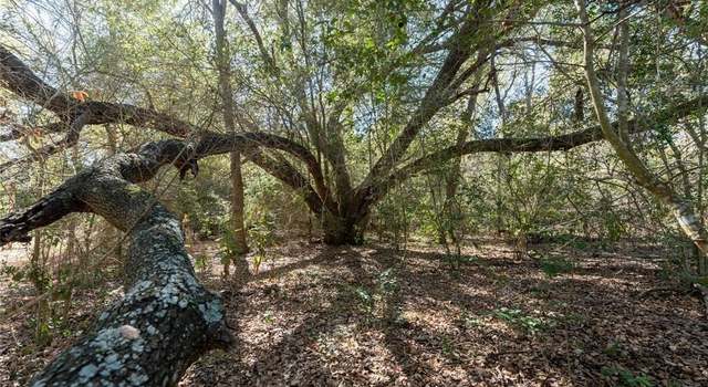 Photo of TBD40 Bateman Rd, Red Rock, TX 78662