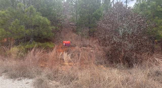 Photo of LOT 173 / R32210 Keo Kea Ct, Bastrop, TX 78602