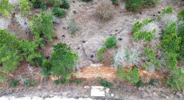 Photo of LOT 171 / R32192 Keo Kea Ct, Bastrop, TX 78602