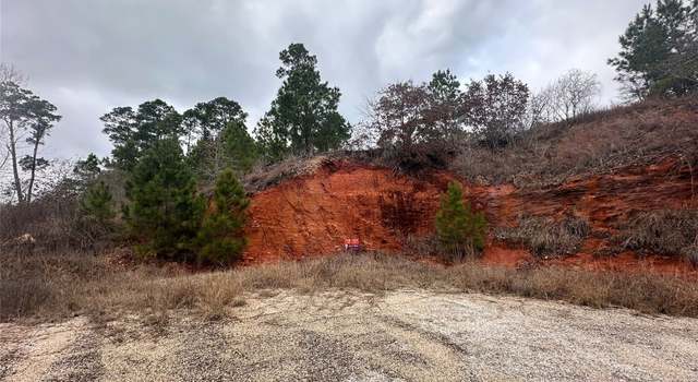 Photo of LOT 180 / R32273 Keo Kea Ct, Bastrop, TX 78602