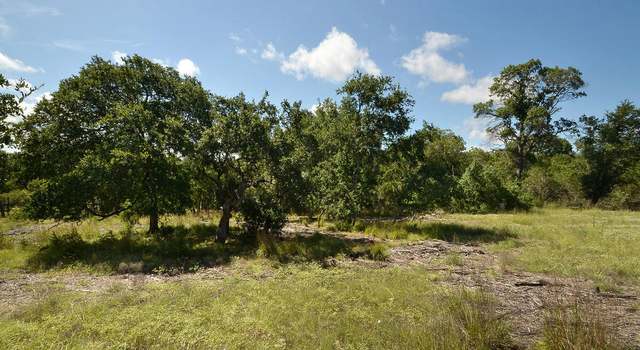 Photo of 690 Canna Lily Cir, Driftwood, TX 78619