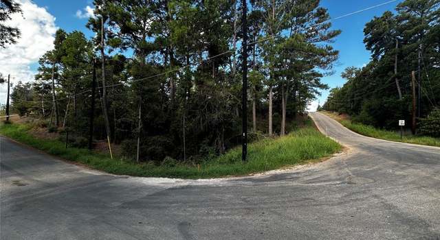 Photo of 145 Lamaloa Dr, Bastrop, TX 78602