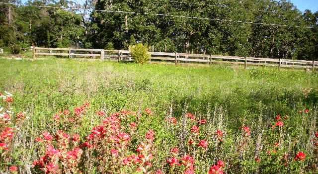 Photo of 340 Tuck St, Cedar Creek, TX 78612