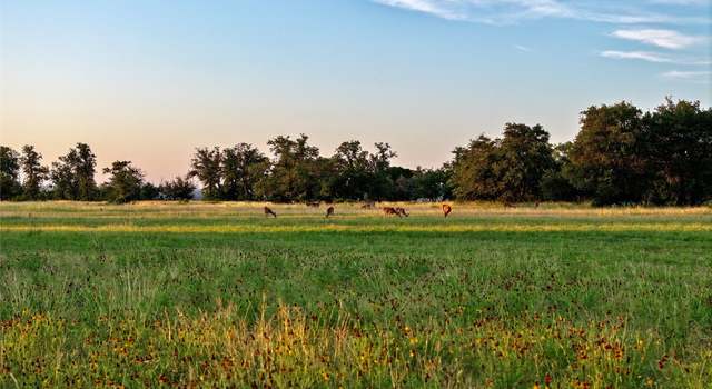 Photo of Lot 1 Fm 2657, Briggs, TX 78608