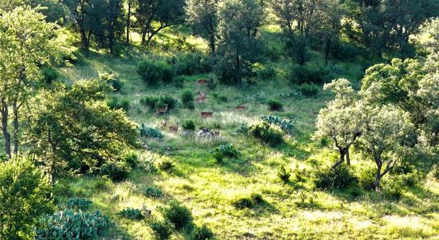 Photo of Lot 2 Fm 2657, Briggs, TX 78608