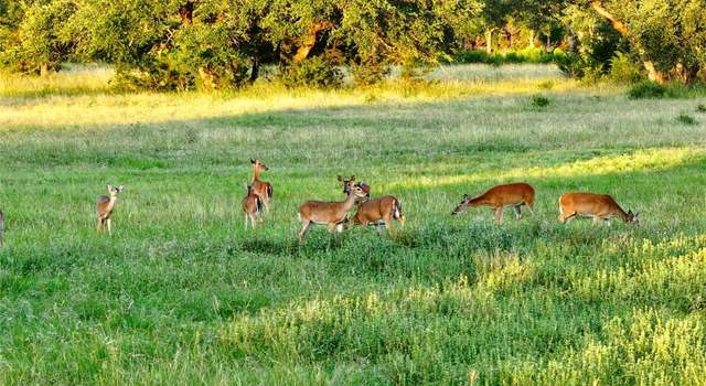 Photo of Lot 2 Fm 2657, Briggs, TX 78608