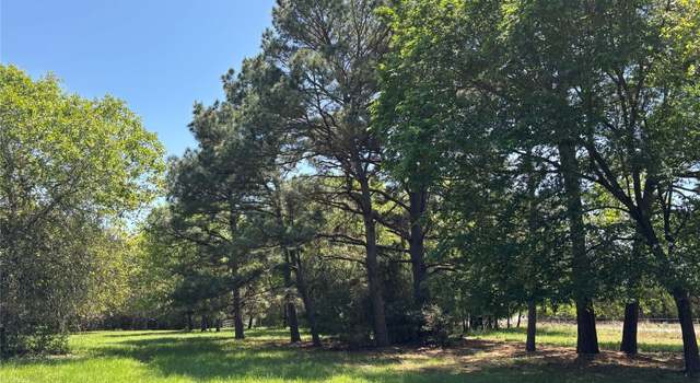 Photo of Lot 251 Pine Valley Loop, Smithville, TX 78957