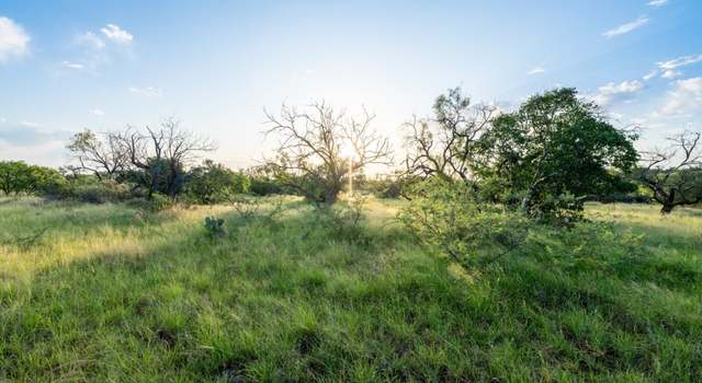 Photo of TBD County Road 110, Llano, TX 78643