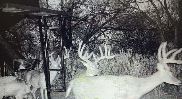 Photo of 392 County Road 230, San Saba, TX 76877