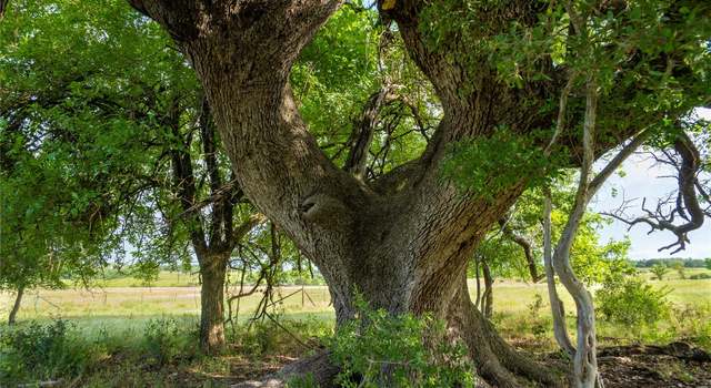 Photo of 000 Cr 224, Briggs, TX 78608