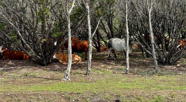 Photo of 285 Donnie Dr, Lampasas, TX 76550