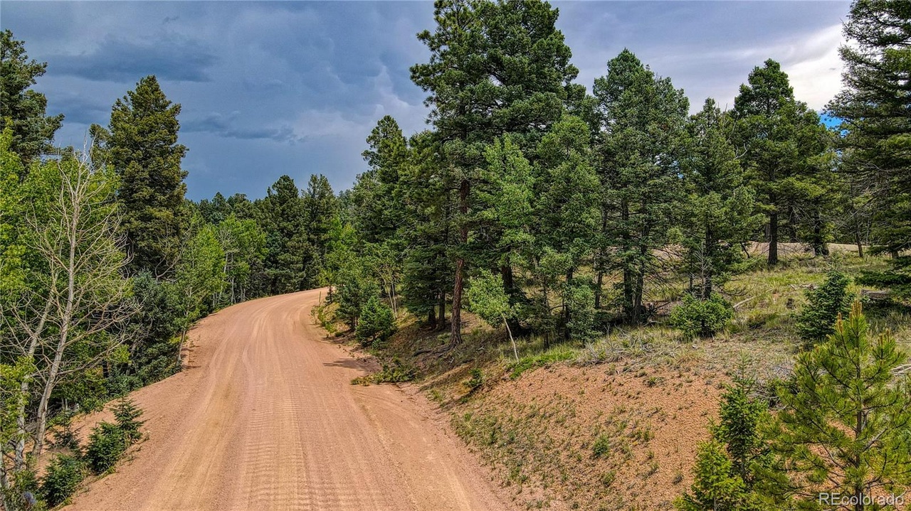 2472 N Mountain Estates Rd, Florissant, CO 80816 | MLS# 5507022 | Redfin