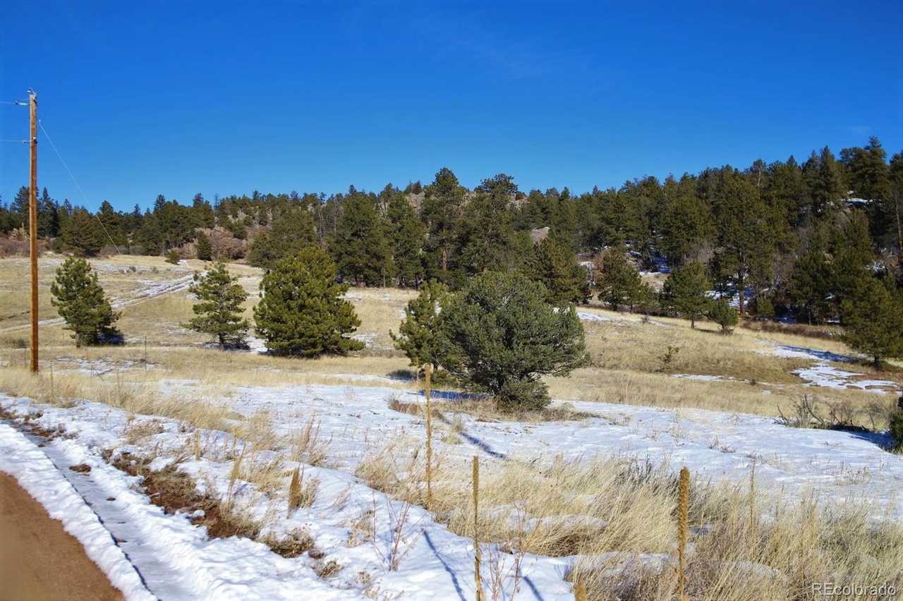 202 Pike View Ln, Florissant, CO 80816 | MLS# 3961103 | Redfin