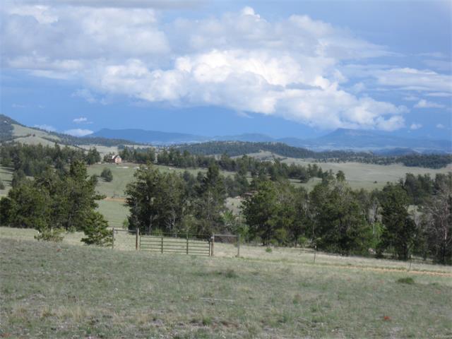 11 El Toro Way, Como, CO 80432 | MLS# 8552290 | Redfin