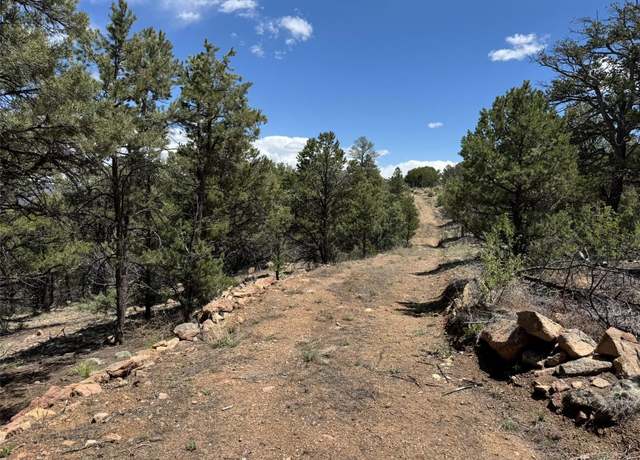 Property at Tbd 33rd, Cotopaxi, CO 81223