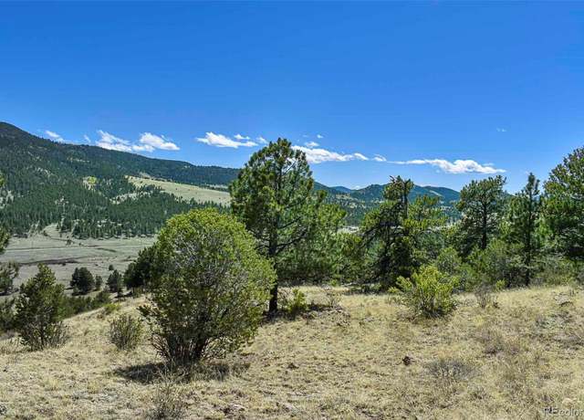 Property at 87 Wagon Wheel Cir, Guffey, CO 80820