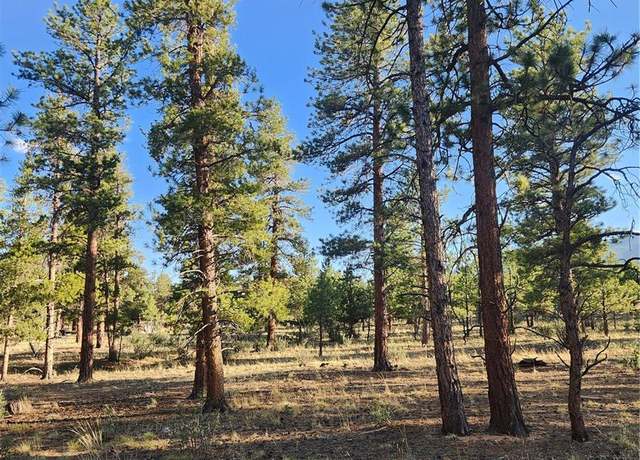Property at 30664 Gray Jay Draw, Buena Vista, CO 81211